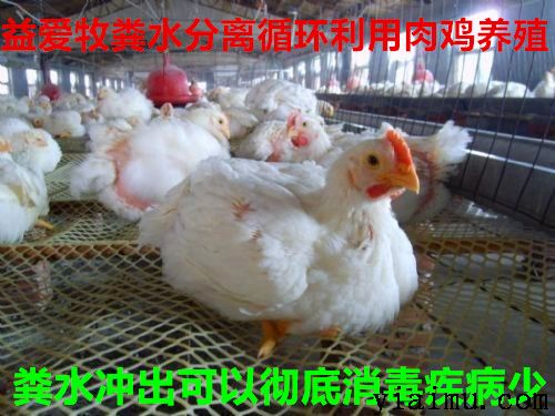 益愛牧網(wǎng)床環(huán)保養(yǎng)雞 益愛牧網(wǎng)床環(huán)保養(yǎng)雞